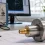 RF Rotary Joints Radar Antennas Low Loss, High Life